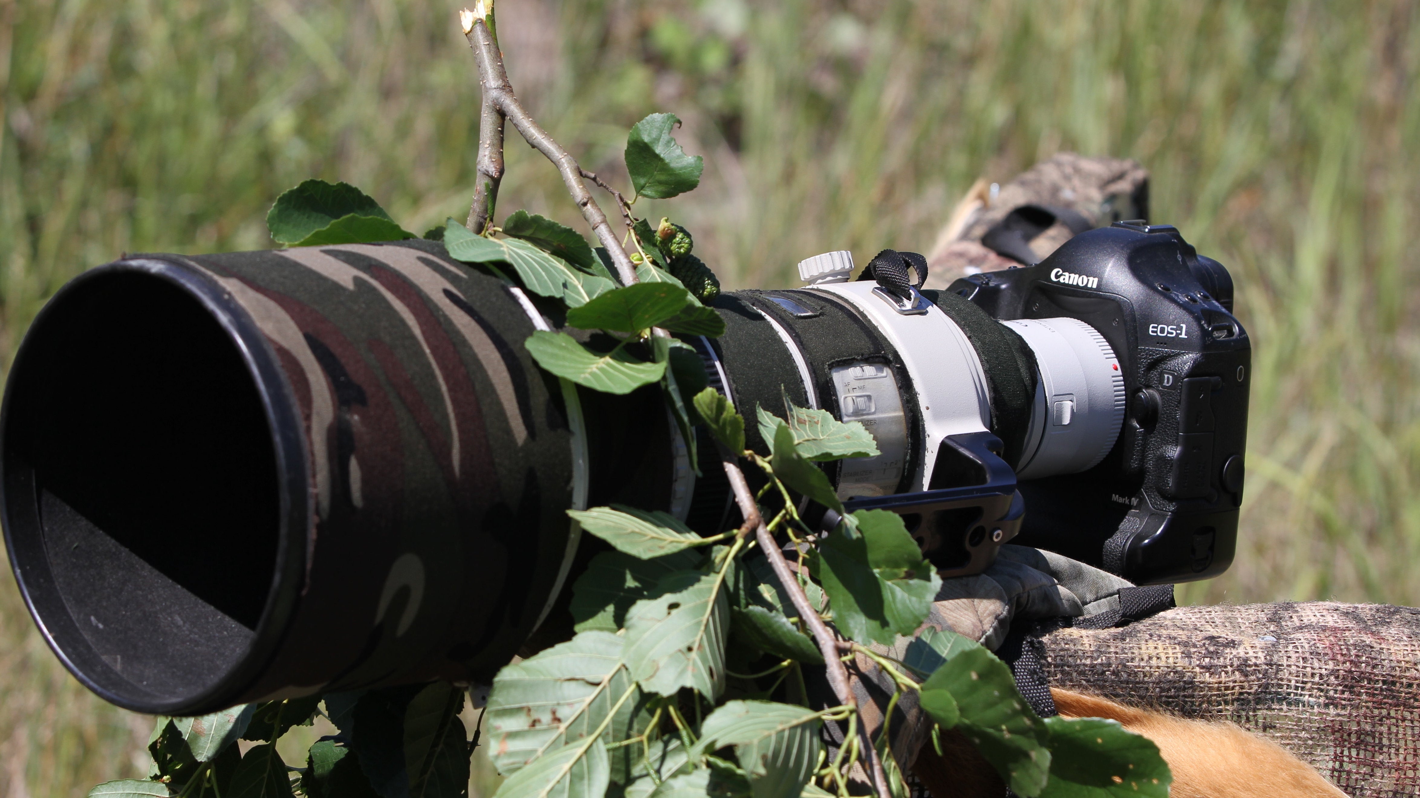 Jagdfotografie: Irgendwann wird jeder ruhiger