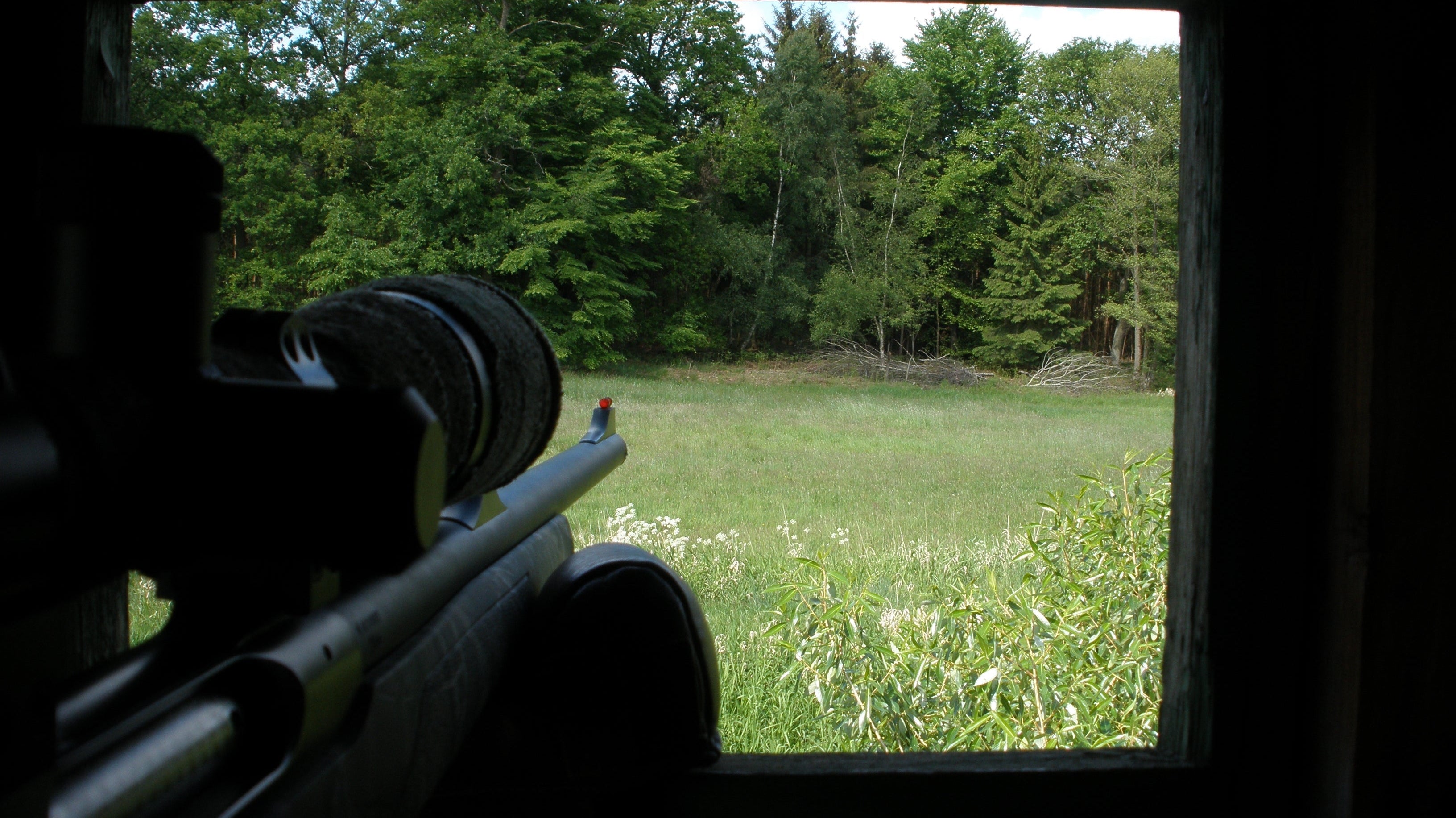Rehwildjagd: Und immer lockt das Weib!