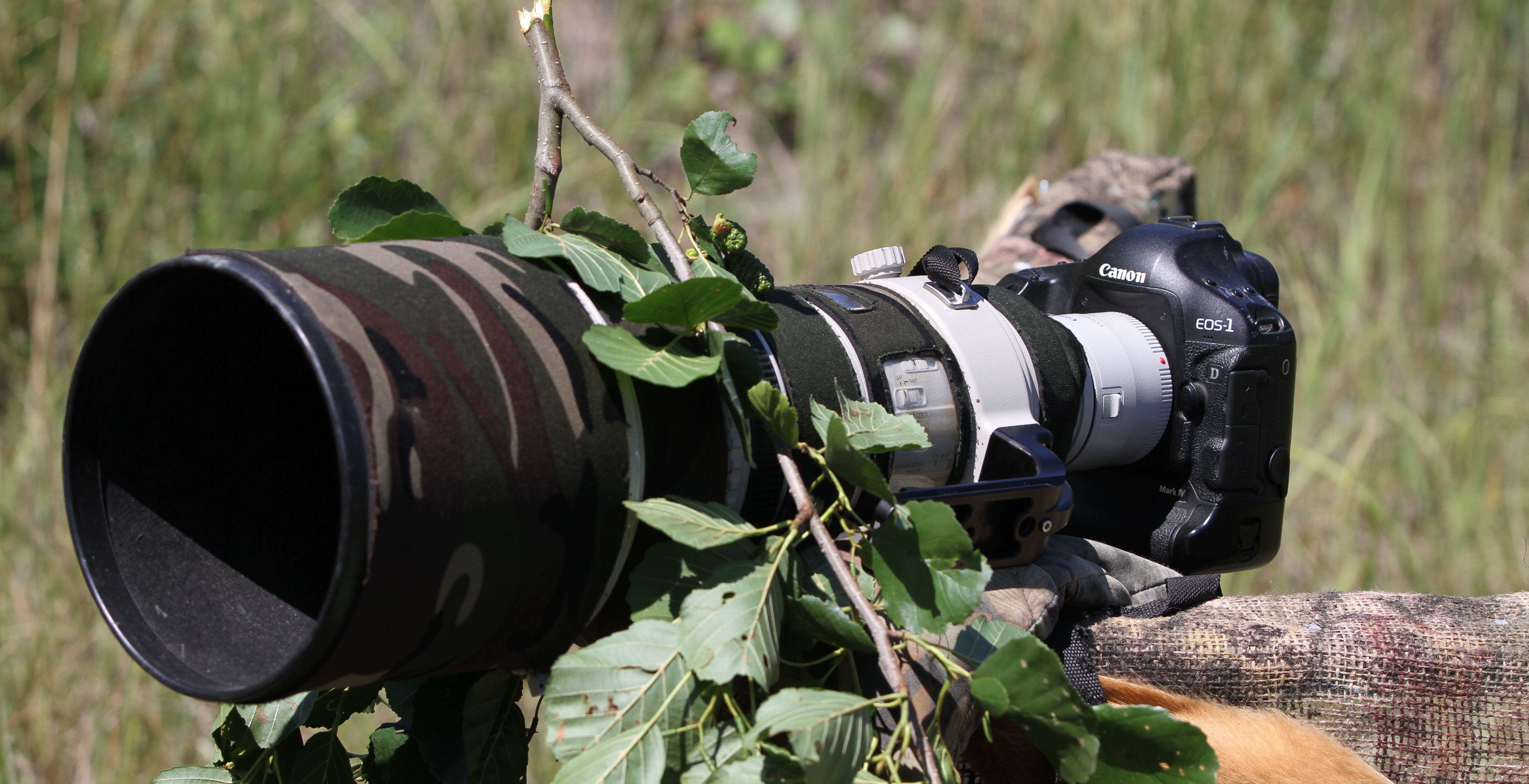 Jagdfotografie: Irgendwann wird jeder ruhiger