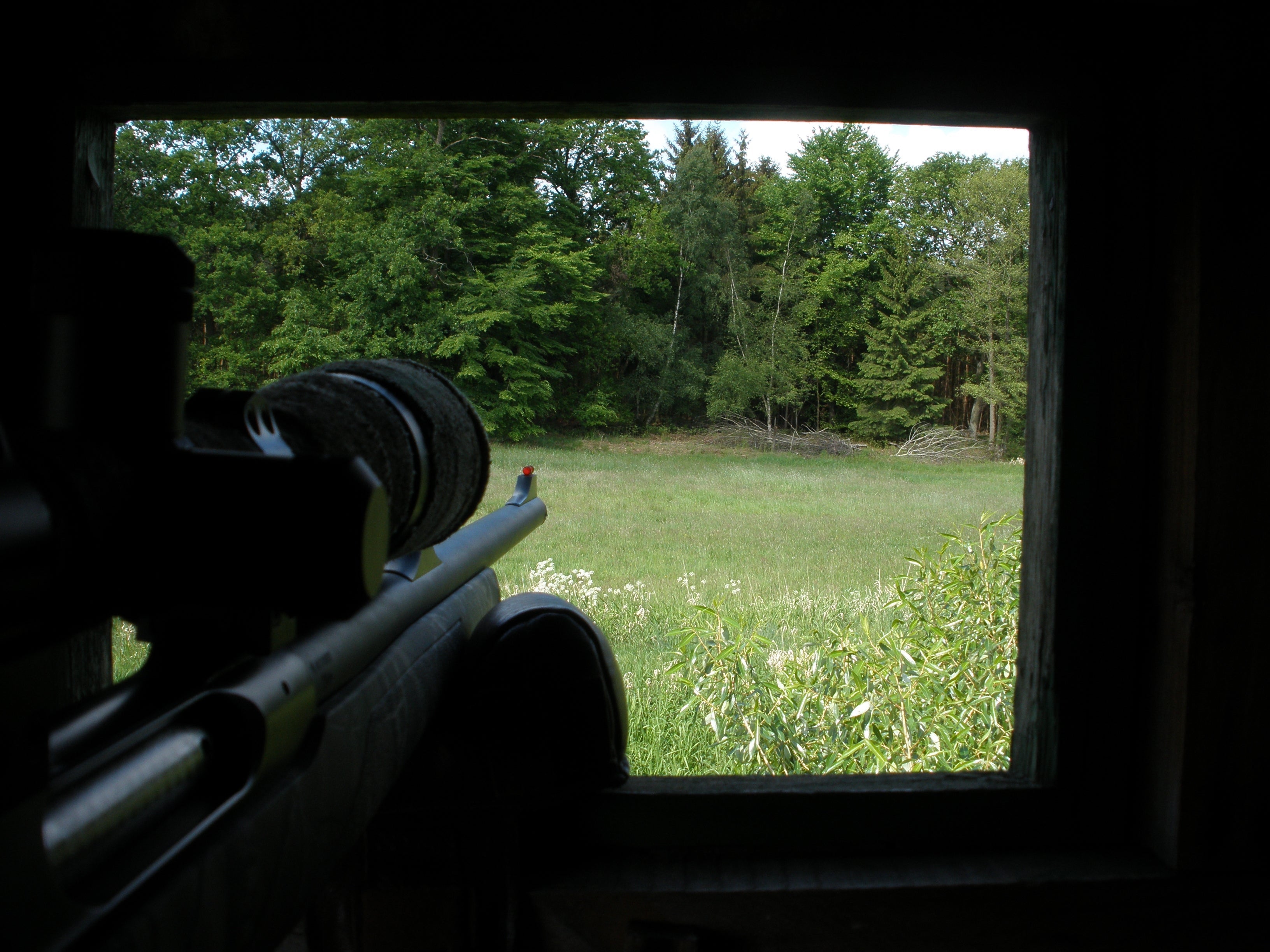 Rehwildjagd: Und immer lockt das Weib!